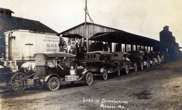 Monett Strawberries